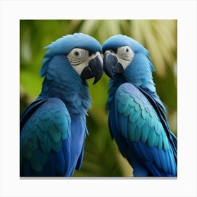 Blue Parrots Canvas Print