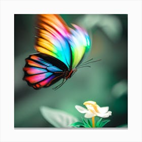 Butterfly Canvas Print