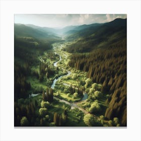 Aerial View Of A Forest Canvas Print