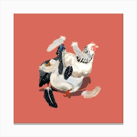 Poultry Canvas Print