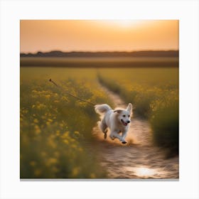 Dog Running In The Field Canvas Print