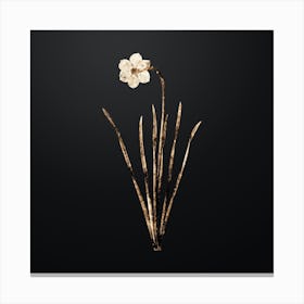 Gold Botanical Narcissus Poeticus on Wrought Iron Black n.2370 Canvas Print