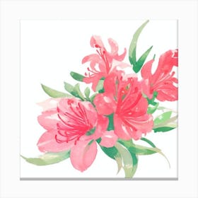 Pink Azaleas Canvas Print