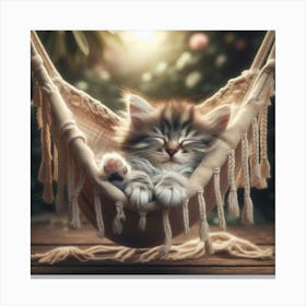 Kitten Sleeping In A Hammock Canvas Print