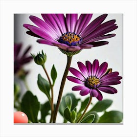 Purple Daisies Canvas Print