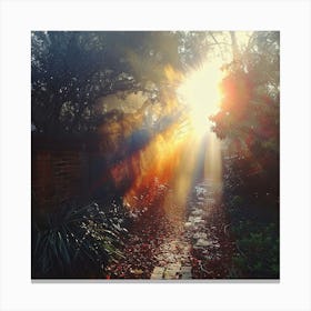 Sunbeams Canvas Print