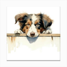 Australian Shepherd 5 Canvas Print