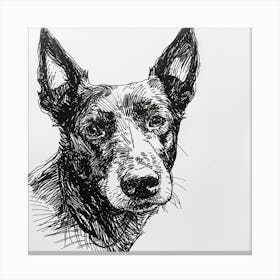 Canaan Dog Line Sketch 1 Canvas Print