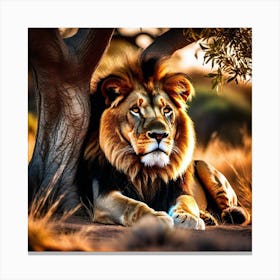 Lion Under A Tree 1 Canvas Print