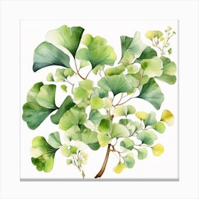 Tropical leaves of ginkgo biloba 5 Canvas Print