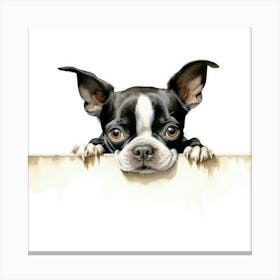 Boston Terrier 1 Canvas Print