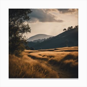 Sunset In A Field Canvas Print