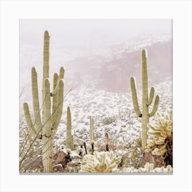 Misty Winter Desert Canvas Print