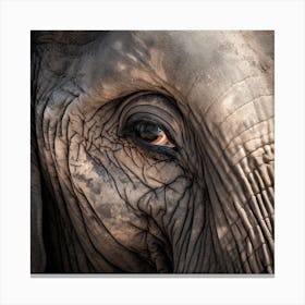 Close Up Of An Elephant'S Eye Canvas Print