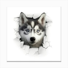 Husky Dog Canvas Print