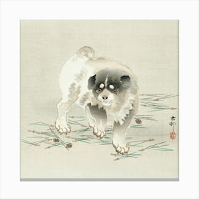 Young Dog (1900 1930), Ohara Koson Canvas Print