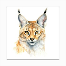 Desert Lynx Cat Portrait 1 Canvas Print