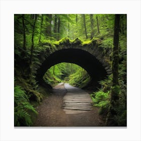 Bridge In The Forest 1 Canvas Print