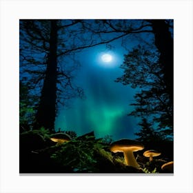 Aurora Borealis 2 Canvas Print