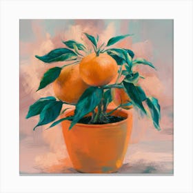 Oranges In A Pot 19 Canvas Print