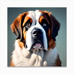 Studio head and shoulders portrait of a cute St Bernard dog Canvas Print