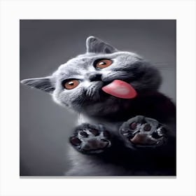 Cat Licking Its Tongue Canvas Print