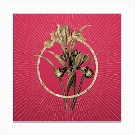 Gold Spanish Iris Glitter Ring Botanical Art on Viva Magenta Canvas Print