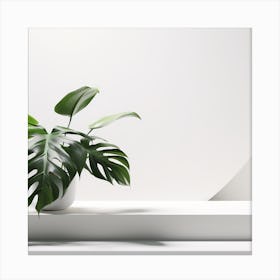 White & Monstera Product background 3 Canvas Print