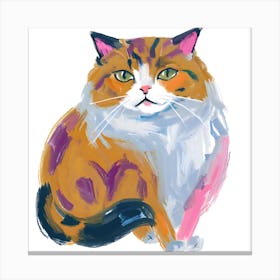 Persian Cat 01 Canvas Print