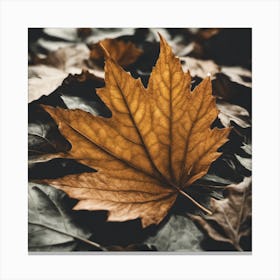 Autumn Leaf 2 Canvas Print