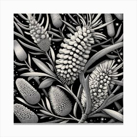 Banksia 2 Canvas Print