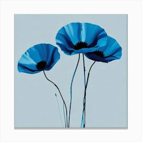 Blue Poppies 2 Canvas Print