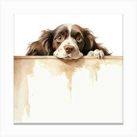 Spaniel Clumber 1 Canvas Print