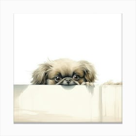 Pekingese Canvas Print