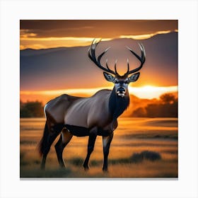 Elk At Sunset 2 Canvas Print