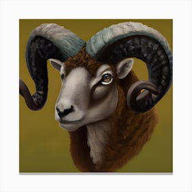 Dorset Horn Ram Canvas Print