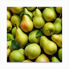 Pears On A Table Canvas Print