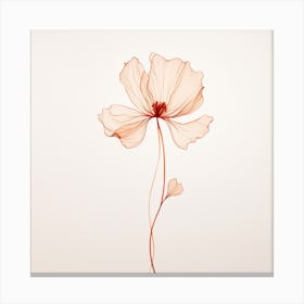 Poppy Flower 5 Canvas Print