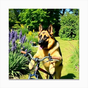 Asm German Shepherd Riding A Bike In The Garden On A S 0793fc17 91bf 4a4f A96d 3684c3fc4b46 Canvas Print