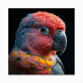 Parrot Parrot Parrot Parrot Canvas Print