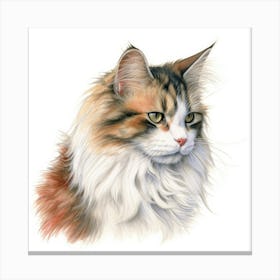 Ragamuffin Cat Portrait Canvas Print