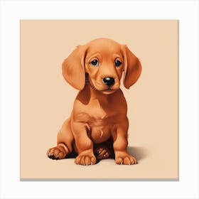 Dachshund Puppy Canvas Print