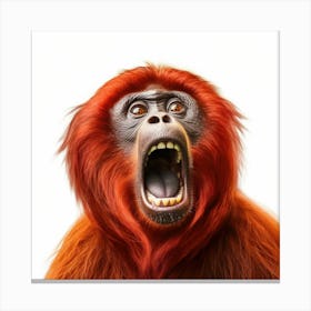 Orangutan 2 Canvas Print