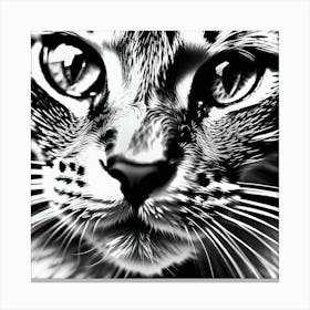 Black And White Cat 15 Canvas Print