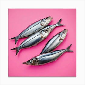 Sardines Art Prints (24) Canvas Print