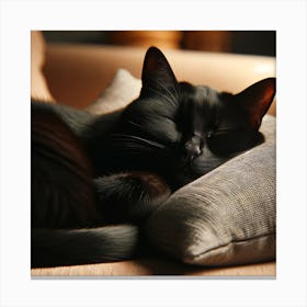 Black Cat Sleeping On A Pillow Canvas Print