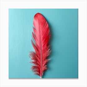 Red Feather On Blue Background Canvas Print