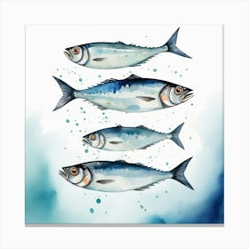 Sardines 7 Canvas Print