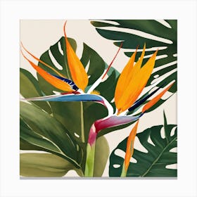 Bird Of Paradise Canvas Print