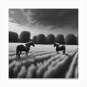 Horses In A Field 15 Canvas Print